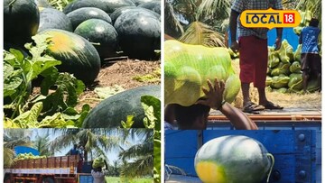 சொட்டுநீர்