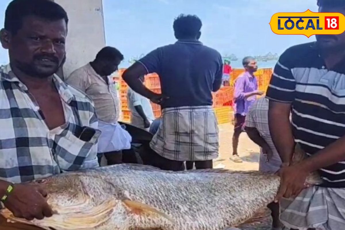 கடைசி நாள் கடலுக்கு போன மீனவருக்கு அடித்த லக்கி... 1 லட்சத்துக்கு விலை போன அரிய மீன்...
