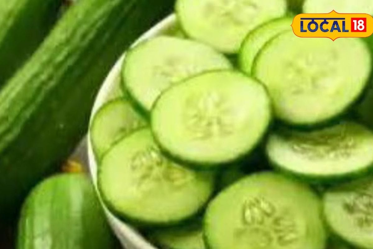 கோடை வெயிலை ஓட விடும் வெள்ளரி பிஞ்சு... பெஸ்ட்டா பாத்து வாங்க இந்த டிப்ஸ் ஃபாலோ பண்ணுங்க...