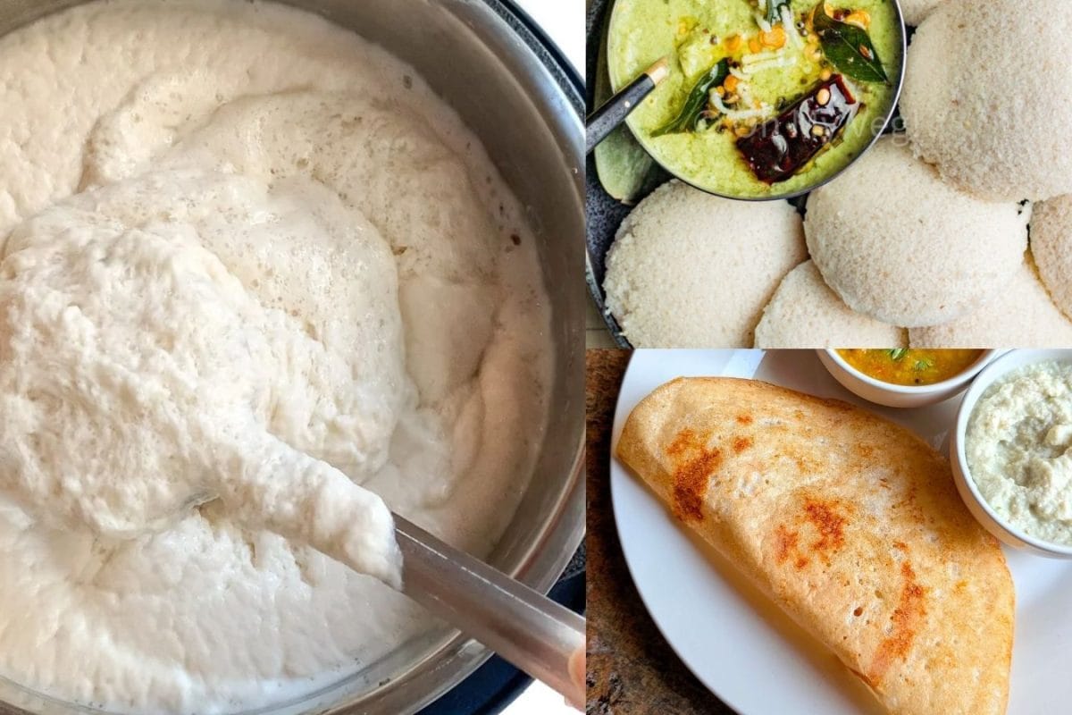 வெயில்காலத்தில் இட்லி தோசை மாவு 2 நாள்கூட தாங்காமல் புளித்துப்போகிறதா..? இந்த 1 ரூபாய் தந்திரம் டிரை பண்ணி பாருங்க..