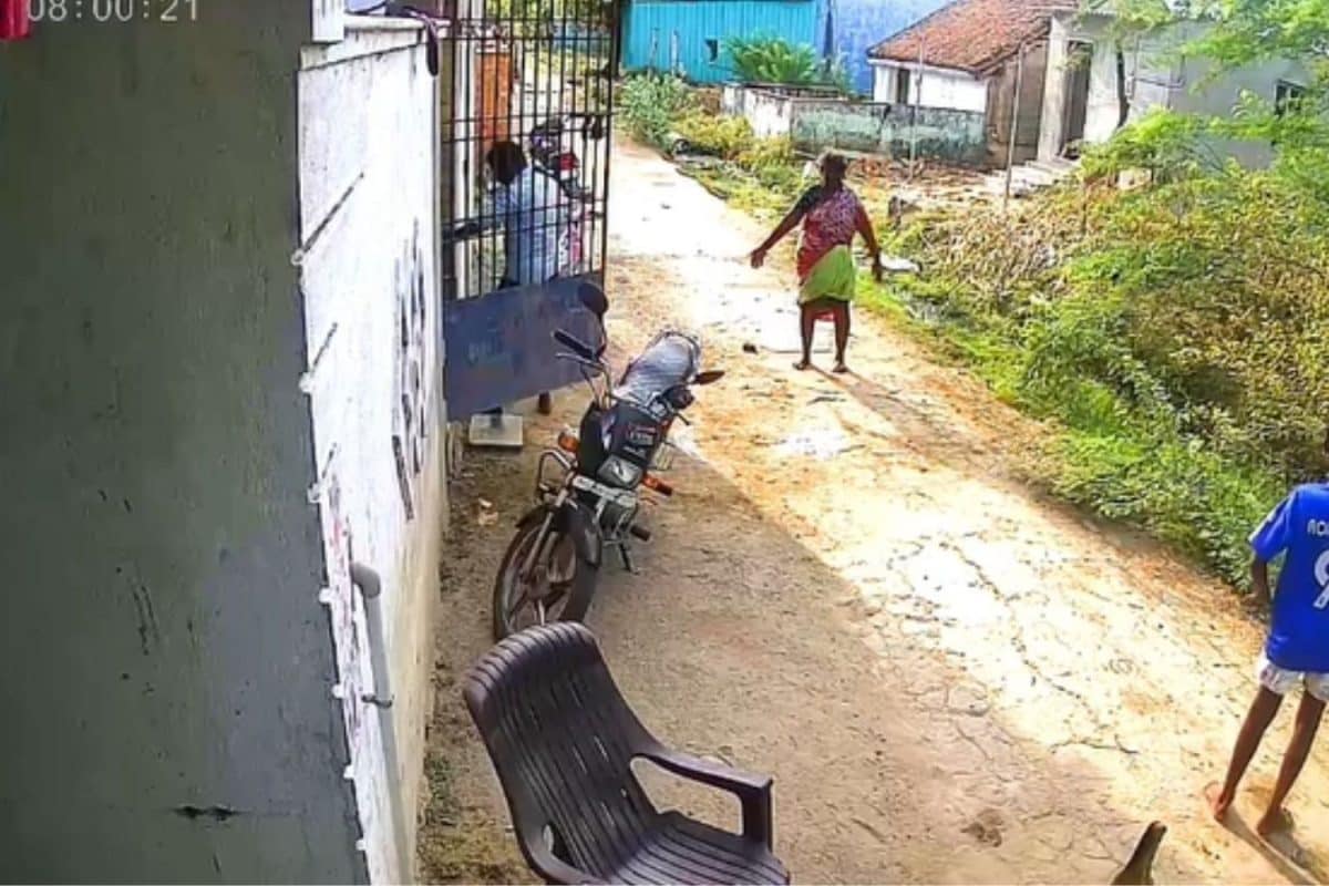 திருவள்ளூர் அருகே வெறிநாய் தாக்குதல்: 15-க்கும் மேற்பட்டோர் காயம் - சிசிடிவி காட்சியால் பரபரப்பு