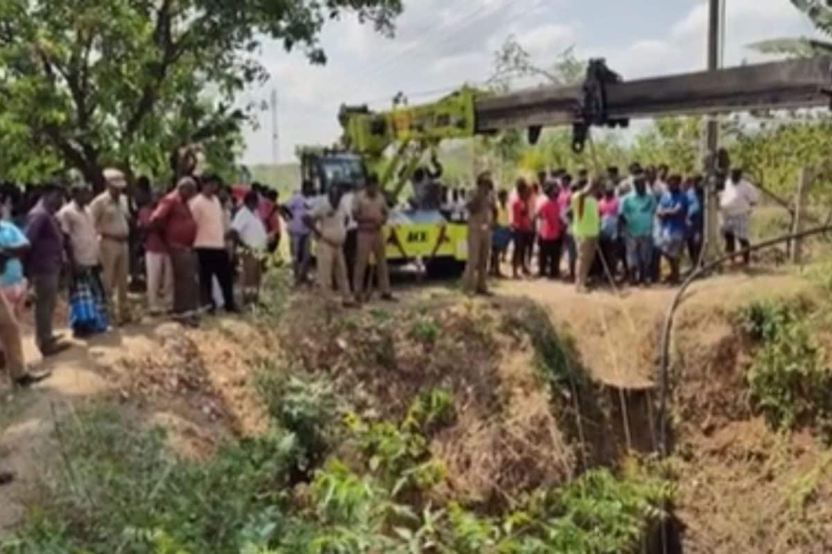 மணப்பாறை அருகே சோகம்: கிணற்றுக்குள் விழுந்த 4 காட்டெருமைகள் - மயக்க ஊசி செலுத்தி 2 எருமைகள் மீட்பு