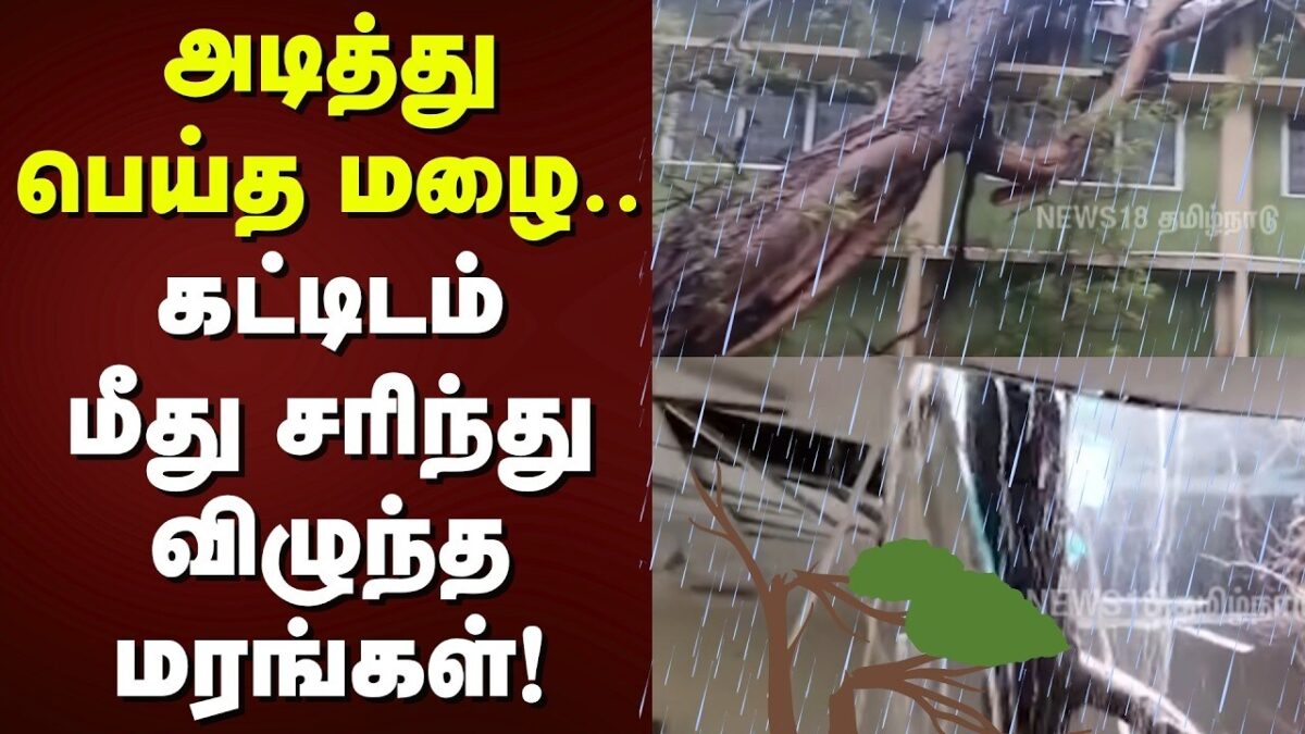 Coimbatore | அடித்து பெய்த மழை.. கட்டிடம் மீது சரிந்து விழுந்த மரங்கள்! | Heavy Rain | Fall Tree