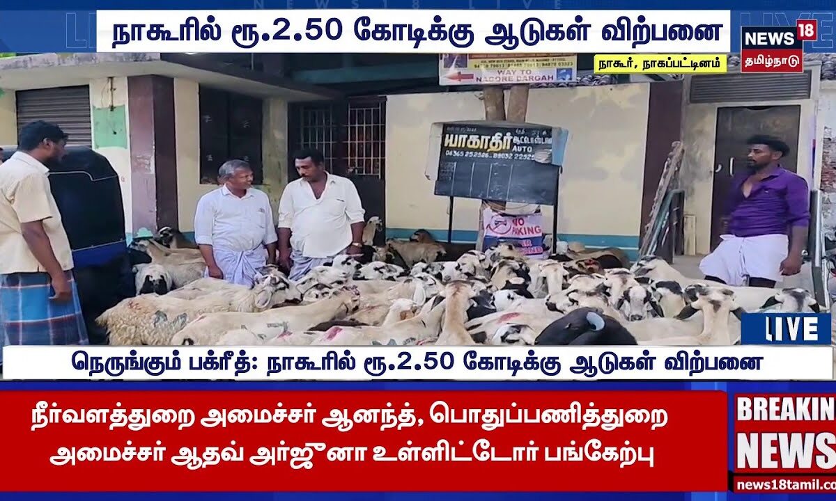 Nagapattinam | Nagore Bakrid Special | நாகூரில் ரூ.2.50 கோடிக்கு ஆடுகள் விற்பனை | Goat Sale