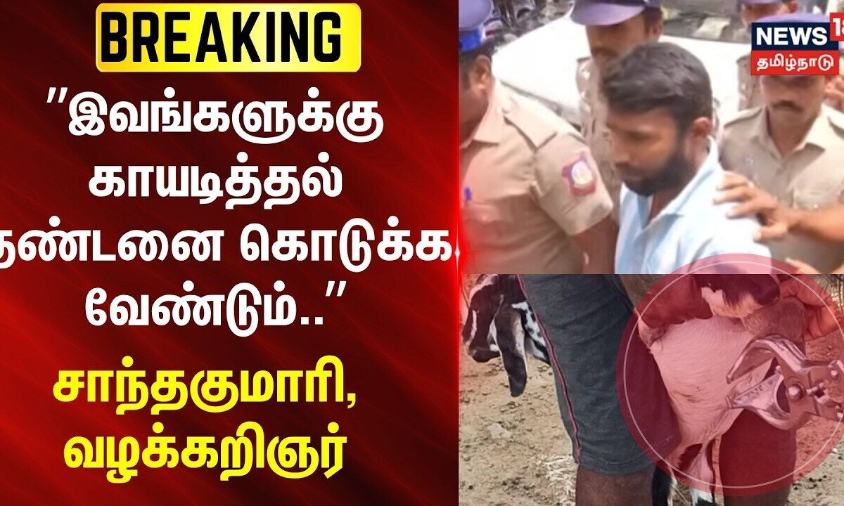 Vilathikulam | Posco | ”இவங்களுக்கு காயடித்தல் தண்டனை கொடுக்க வேண்டும்..”-சாந்தகுமாரி, வழக்கறிஞர்