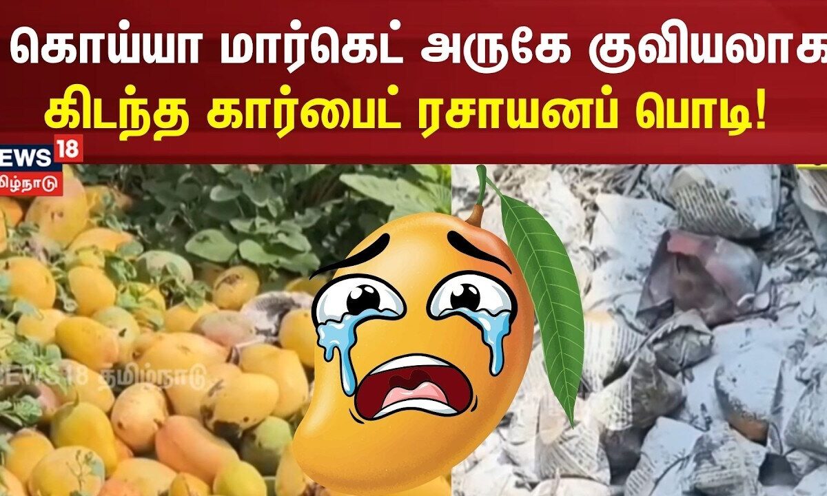 Pazhani | கொய்யா மார்கெட் அருகே குவியலாக கிடந்த கார்பைட் ரசாயனப் பொடி! | Tami Nadu