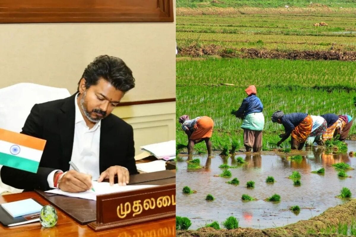 4,00,000 கோடி கடனில் தமிழக விவசாயிகளின் ... தவெக அரசின் தள்ளுபடி எவ்வளவு தெரியமா..?