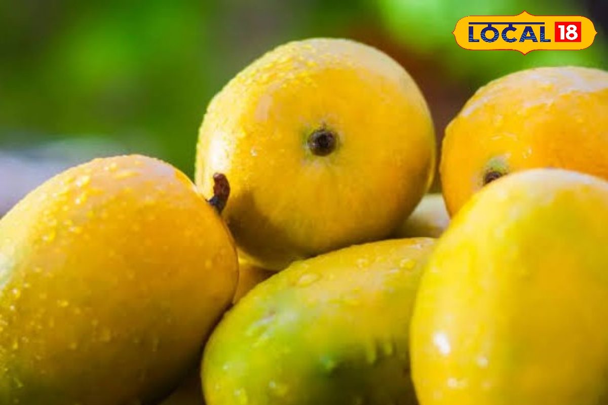 மஞ்சளா இருந்தா மட்டும் போதாது!! சுவை தரும் மாம்பழத்தில் ஒளிந்திருக்கும் ஆபத்து...