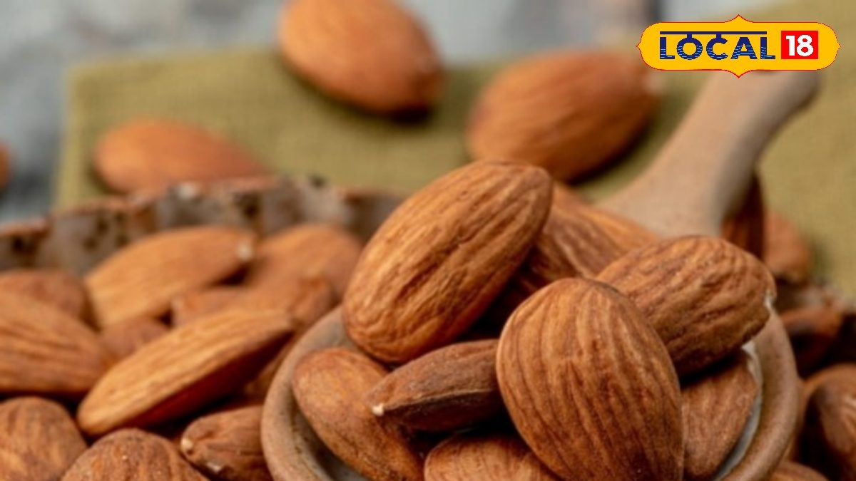 வீட்டிலேயே பாதாம் வளர்க்க ரெடியா.? - தோட்டக்கலை நிபுணர்கள் சொல்லும் ட்ரிக் தெரிஞ்சிகோங்க...