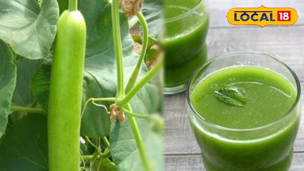 Bottle Gourd Juice: உடல் எடையை வேகமாக குறைக்கணுமா.? - சுரைக்காய் ஜூஸ் தான் பெஸ்ட்...