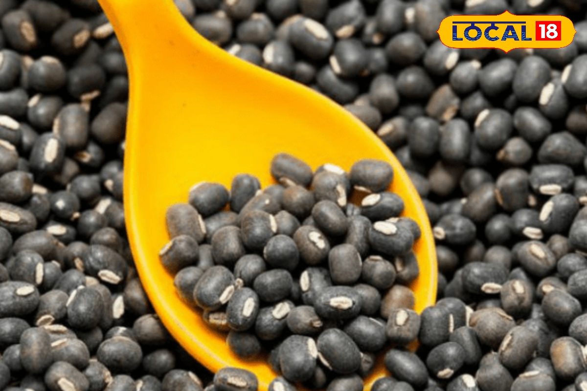 Women Health Foods: 30+ பெண்களா நீங்கள்.? - எலும்பு தேய்மானத்தைத் தடுக்க பாட்டி காலத்து 'சூப்பர் ஃபுட்' இனி கட்டாயம்...