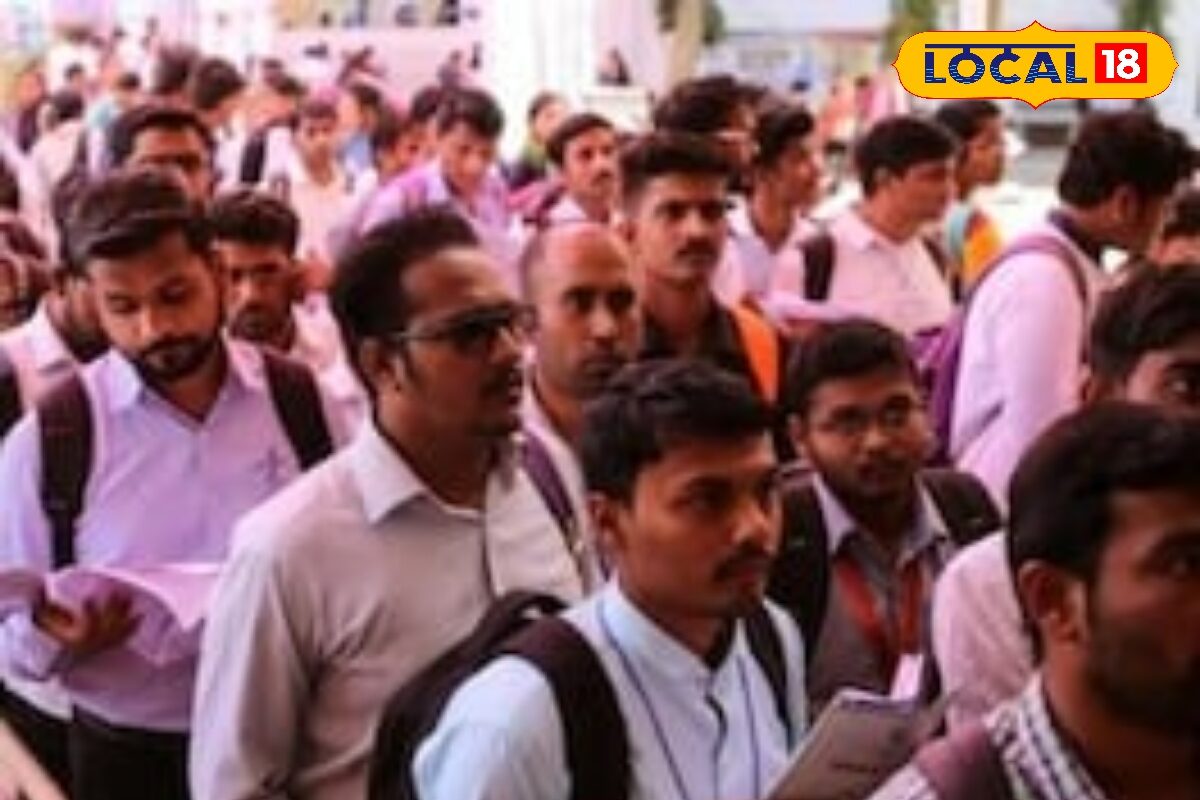 Job Fair 2026: ஐடிஐ, டிப்ளமோ, நர்சிங் படித்தவரா நீங்கள்.? -  டாப் நிறுவனங்களில் வேலை... மே 22-ல் இந்த இடத்திற்கு போங்க...