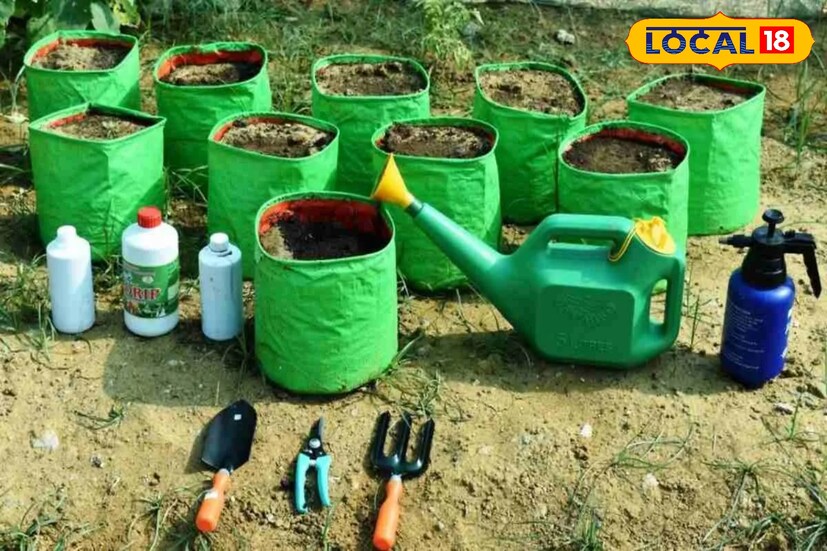 மாடித் தோட்ட குறிப்புகள் 