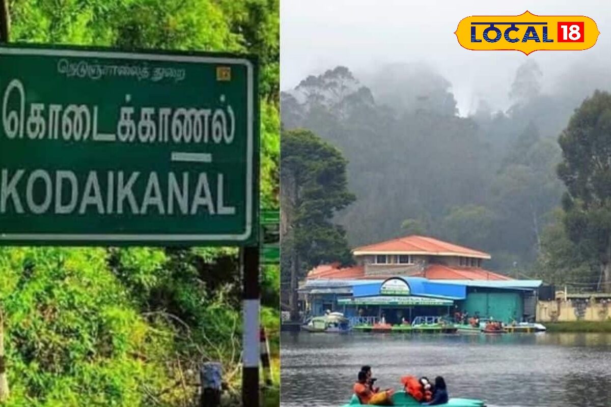 குணா குகை, தூண்பாறை செல்பவர்களுக்கு திடீர் சலுகை... ஊட்டிக்கு டஃப் கொடுக்கும் கொடைக்கானல் ட்ரிப் ...