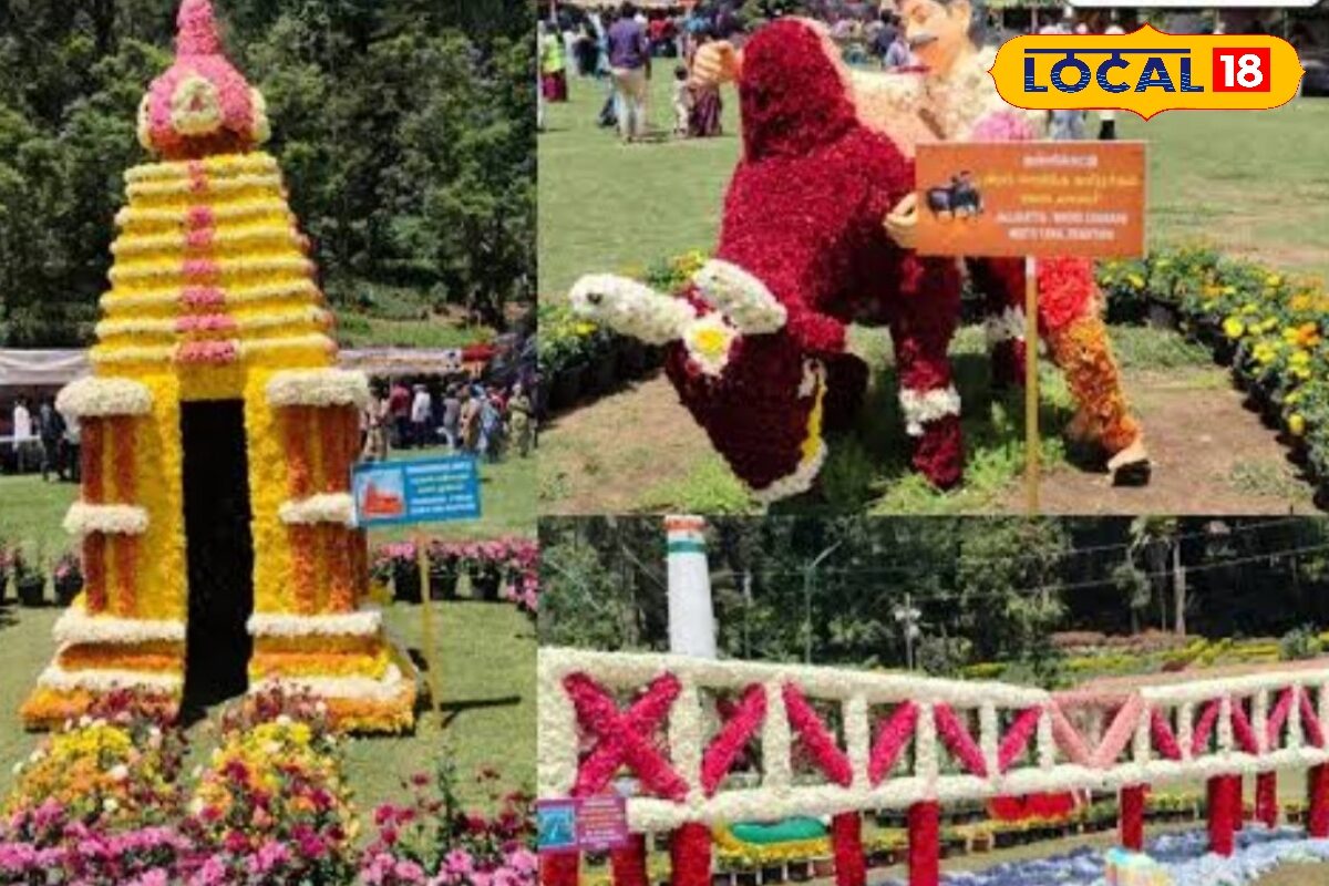 கொடைக்கானல்ல கலக்குற நெதர்லாந்து லில்லியம் பூக்கள்... ஐரோப்பா மாதிரி மாறிய கொடைக்கானல் பிரையண்ட் பூங்கா...