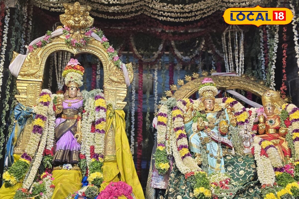 களைகட்டிய வைகாசி வசந்த திருவிழா... பட்டாடை அலங்காரத்தில் காட்சியளித்த அம்மன்...