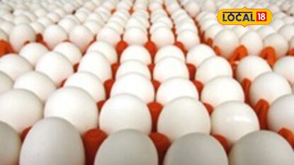 Today Egg Price: முட்டை விலை 10 காசுகள் உயர்வு... 