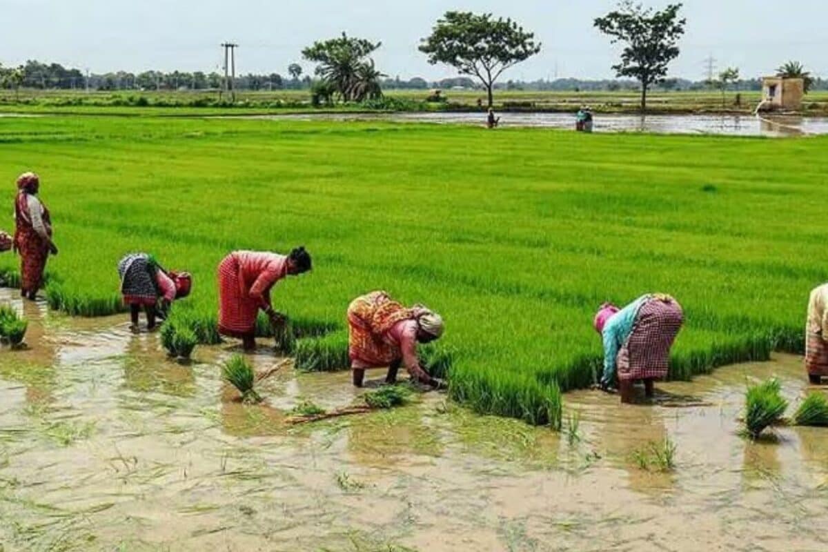 விவசாயிகளின் பயிர் கடன்கள் : முற்றிலும் தள்ளுபடி செய்து  தமிழக அரசு மறு உத்தரவு வழங்க கம்யூ. கோரிக்கை
