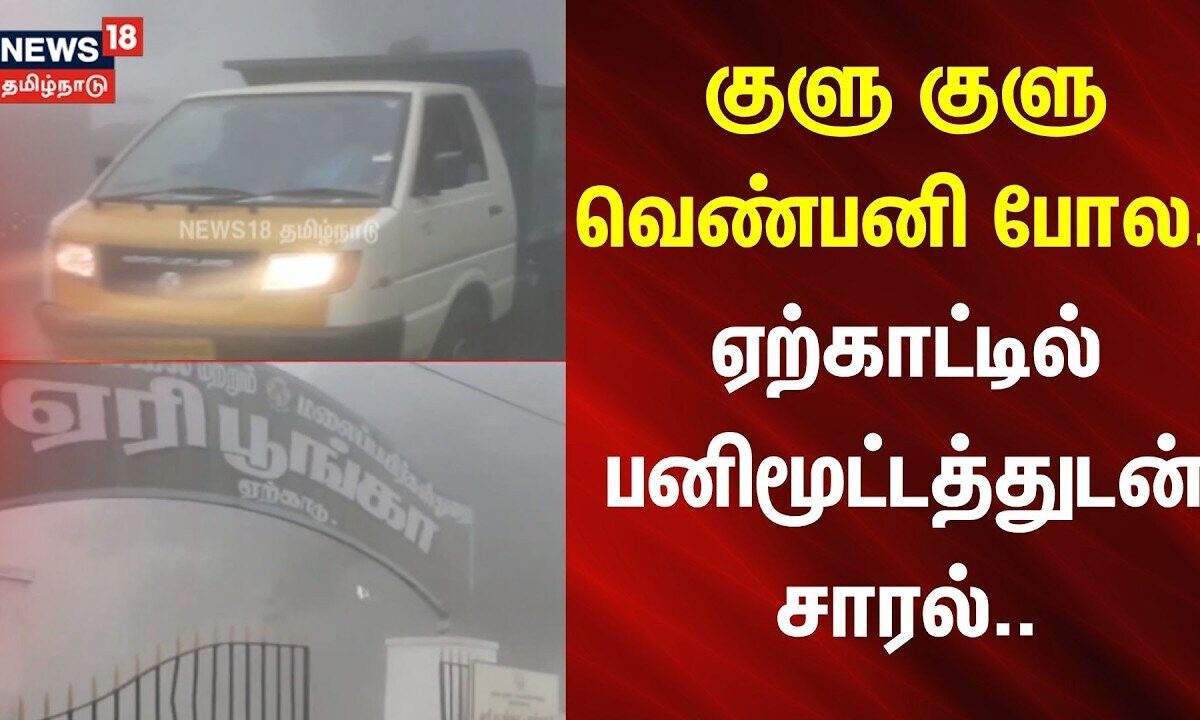 Salem | குளு குளு வெண்பனி போல.. ஏற்காட்டில் பனிமூட்டத்துடன் சாரல் | News18Tamilnadu