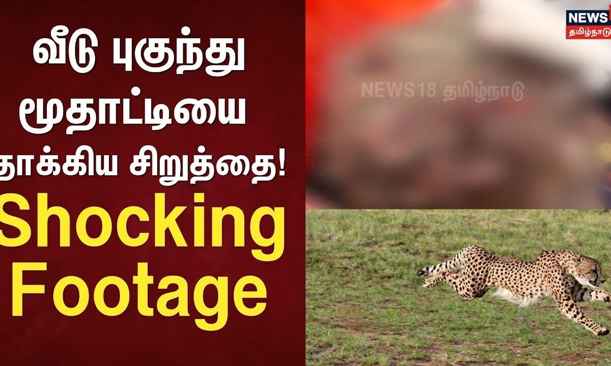 Cheetah Attack | வீடு புகுந்து மூதாட்டியை தாக்கிய சிறுத்தை! 