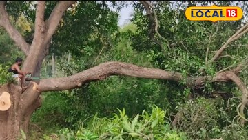 News18