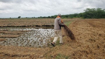 பருவமழைக்கால