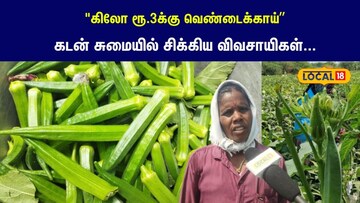 தரைமட்ட