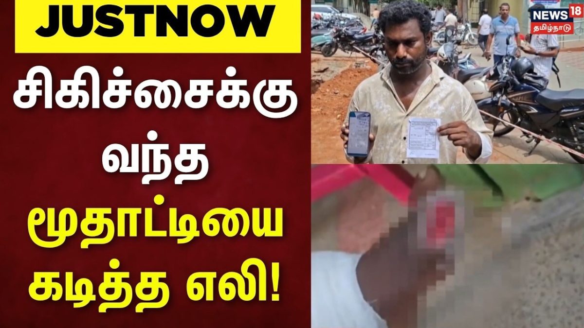 Just Now | திருச்சி அரசு மருத்துவமனையில் மூதாட்டியை கடித்த எலி | Rate Bite Old Lady | Tamil News