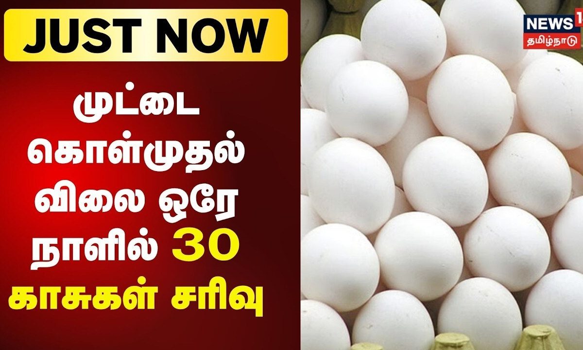 Just Now | நாமக்கல்லில் முட்டை கொள்முதல் விலை ஒரே நாளில் 30 காசுகள் சரிவு
