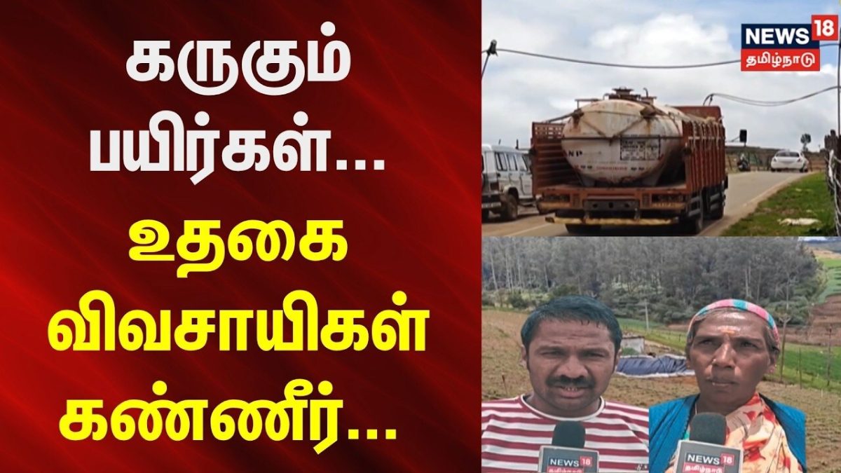 TN Farmers | Ooty | கருகும் பயிர்கள்... உதகை விவசாயிகள் கண்ணீர்... | News18Tamilnadu