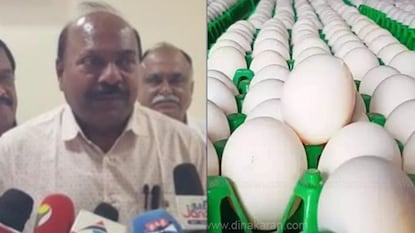 முட்டை விலை புதிய உச்சம் முட்டை விலை புதிய உச்சம்