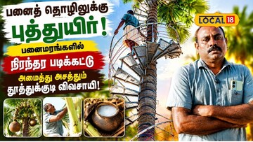 பனைமரங்களில்