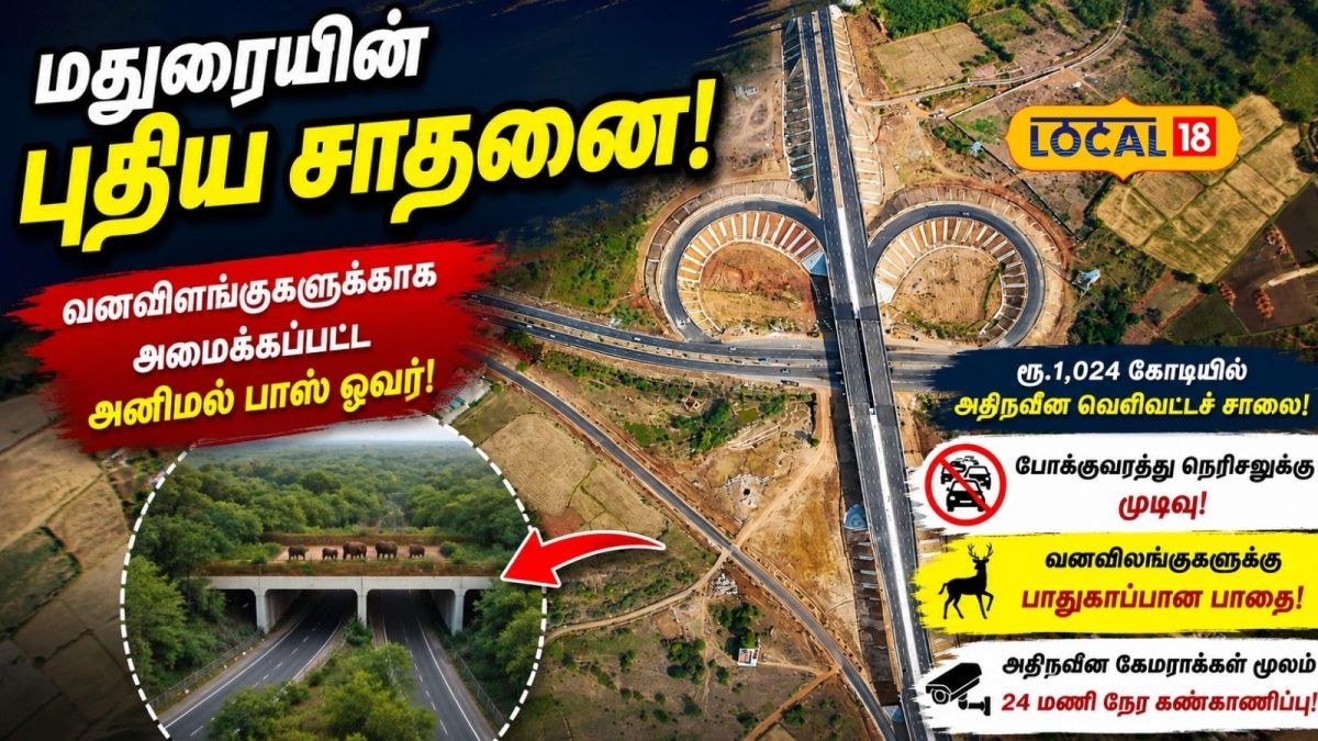 வனவிலங்குகளுக்கு பிரத்யேக மேம்பாலமா.? - உலகையே திரும்பிப் பார்க்க வைத்த மதுரையின் புதிய ரிங் ரோடு