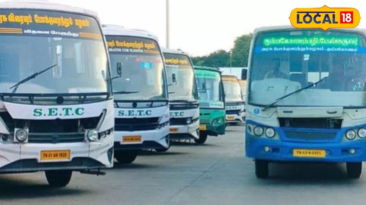 TNSTC-யில் அப்ரண்டிஸ் பயிற்சி வாய்ப்பு... பட்டதாரிகளுக்கு முக்கிய அறிவிப்பு