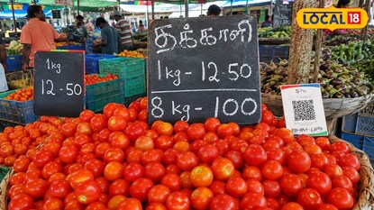 புதுச்சேரியில் தக்காளி விலை சரிவு: 8 கிலோ ரூ.100-க்கு விற்பனை; விவசாயிகள் வேதனை...