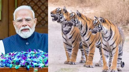 பிரதமர் மோடி 