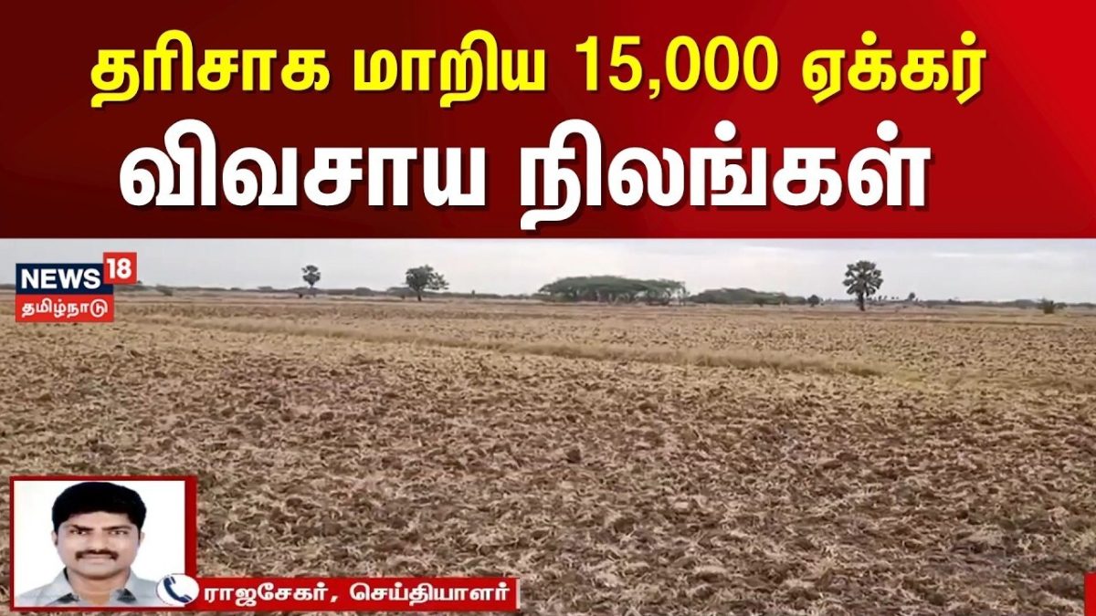 தரிசாக மாறிய 15,000 ஏக்கர் விவசாய நிலங்கள் | Tiruvarur News | Farm Lands | Delta Districts