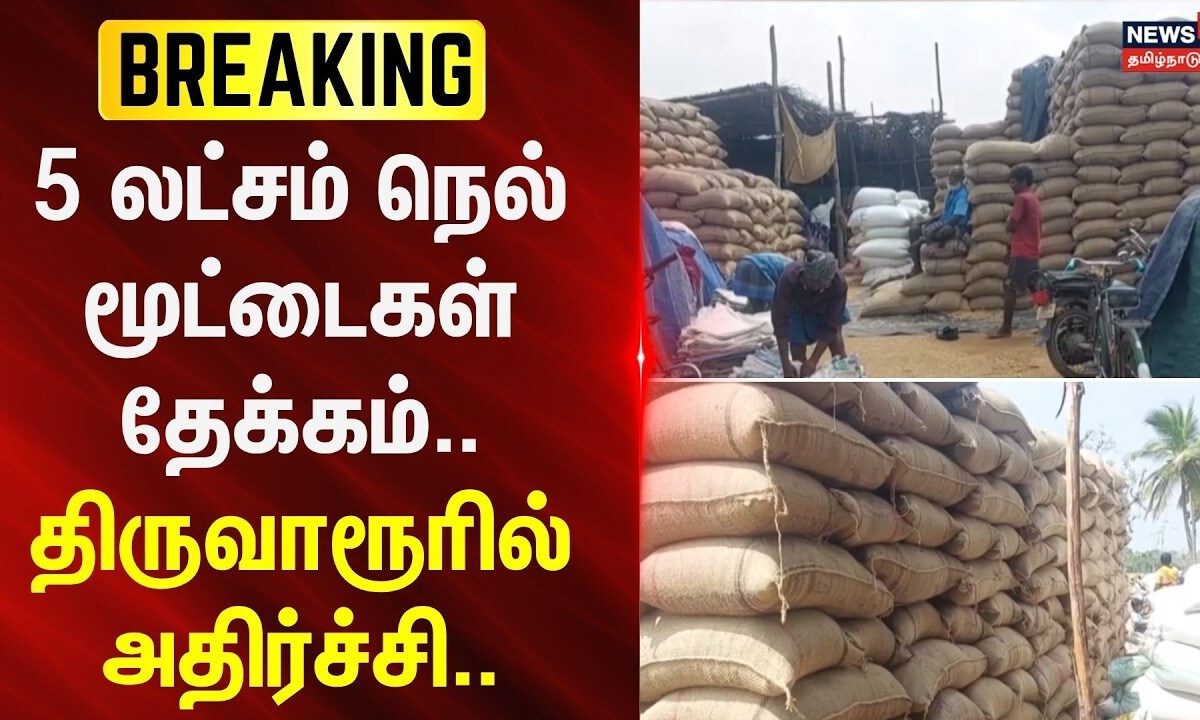 Just Now | 5 லட்சம் நெல் மூட்டைகள் தேக்கம்.. - திருவாரூரில் அதிர்ச்சி |Tiruvarur | Paddy Procurement