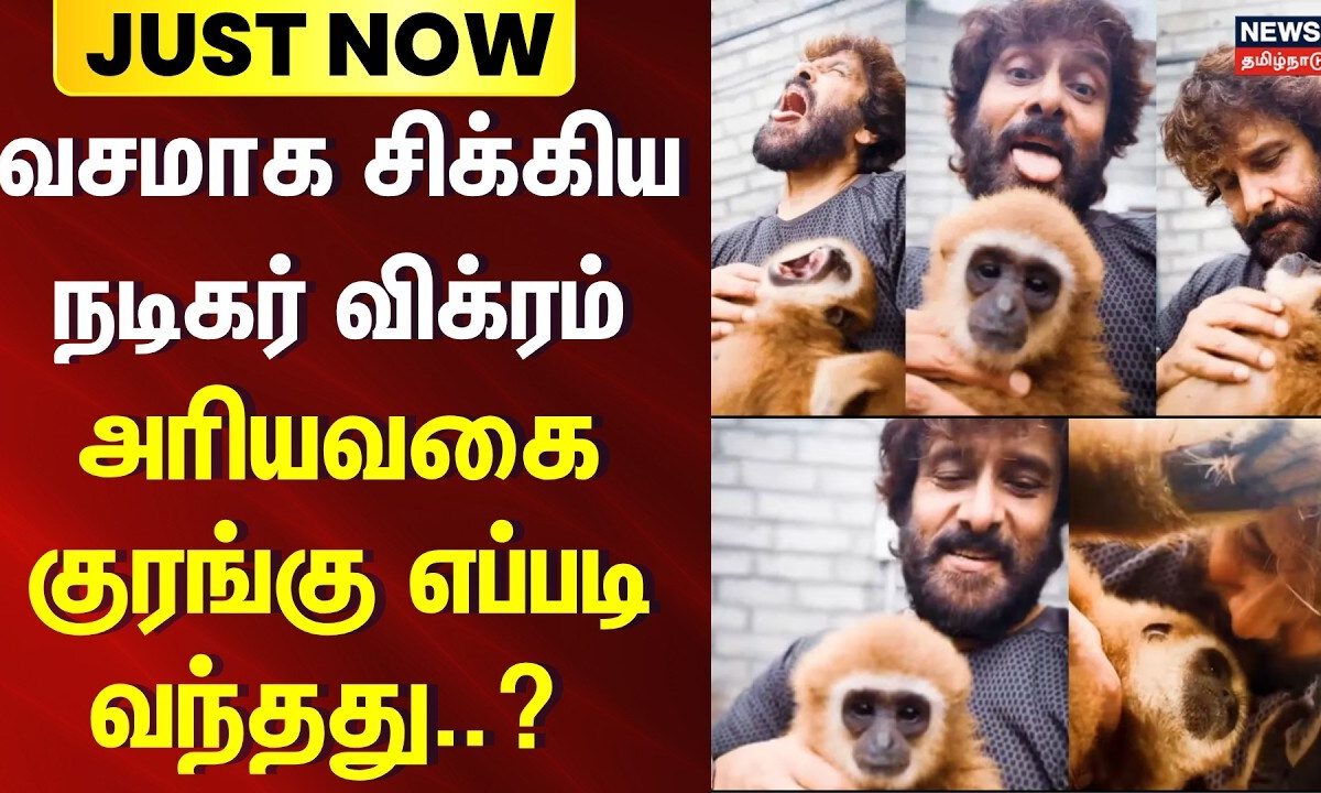 Actor Vikram Monkey Video | வசமாக சிக்கிய நடிகர் விக்ரம் - அரியவகை குரங்கு எப்படி வந்தது..?