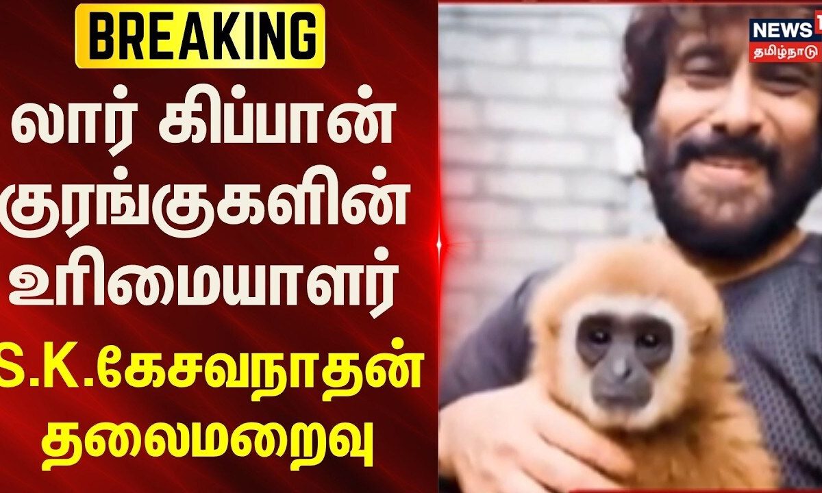Just Now | லார் கிப்பான் குரங்குகளின் உரிமையாளர் எஸ்.கே.கேசவநாதன் தலைமறைவு