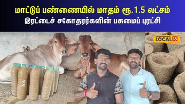 மாட்டுப்