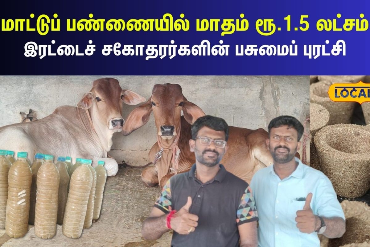 மாதம் 1.5 லட்சம் வருமானம்... மாட்டுப் பண்ணையில் இரட்டைச் சகோதரர்களின் மாஸ் சாதனை