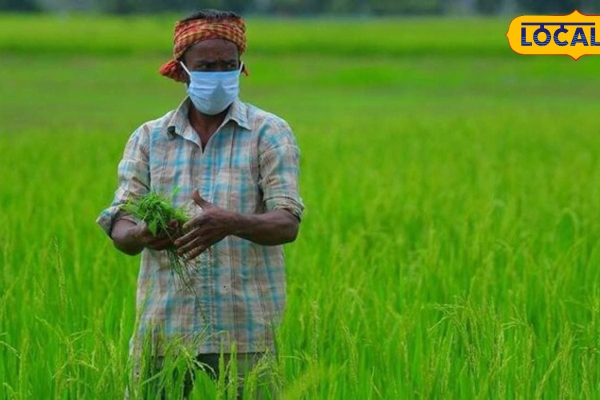 நெல் விதை தரம் எப்படி இருக்கு.? - விவசாயிகளே வெறும் ரூ.80-ல் தெரிஞ்சுக்கலாம்
