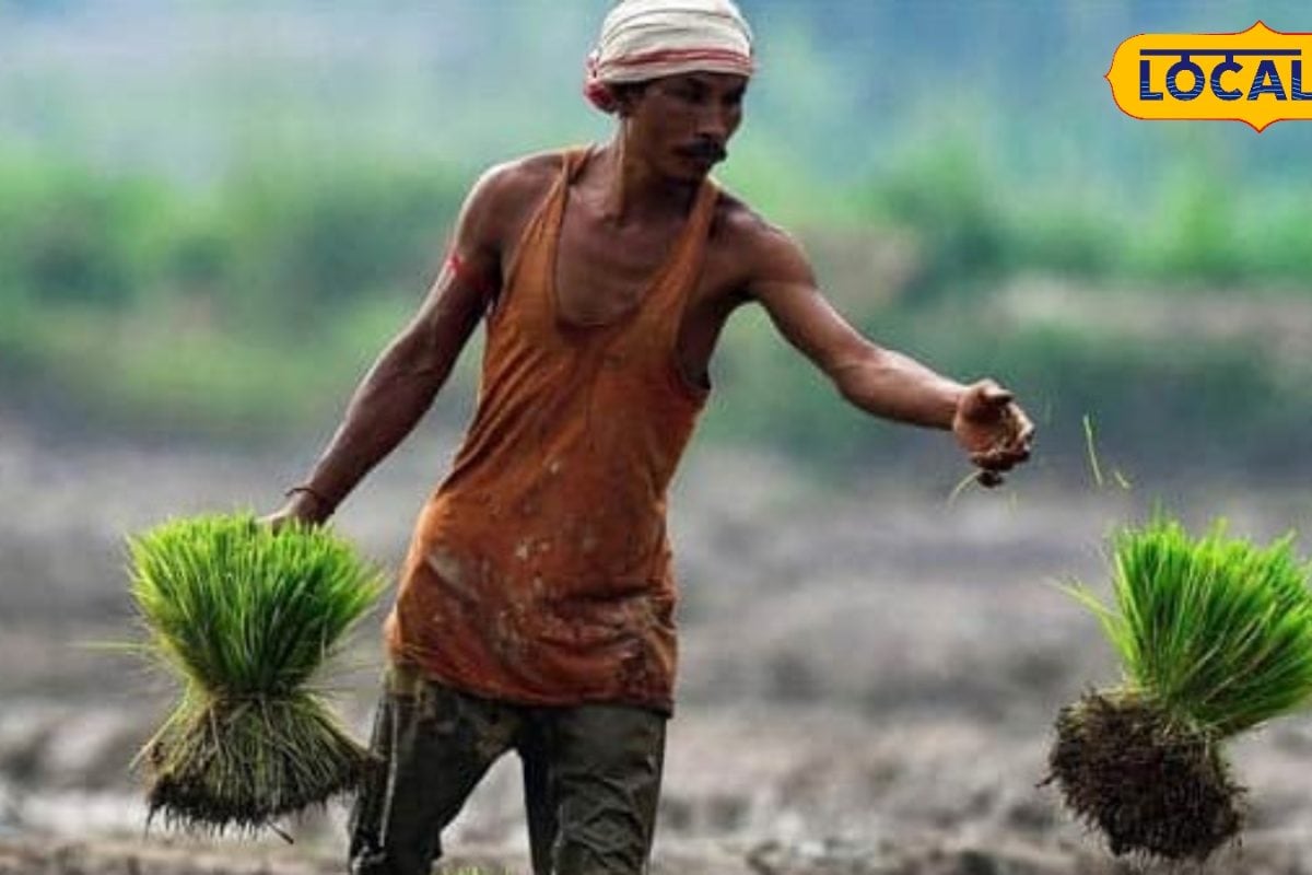 PM-KISAN ரூ.6,000 நிதியுதவி... விவசாயிகள் உடனே இதை செய்யுங்கள்