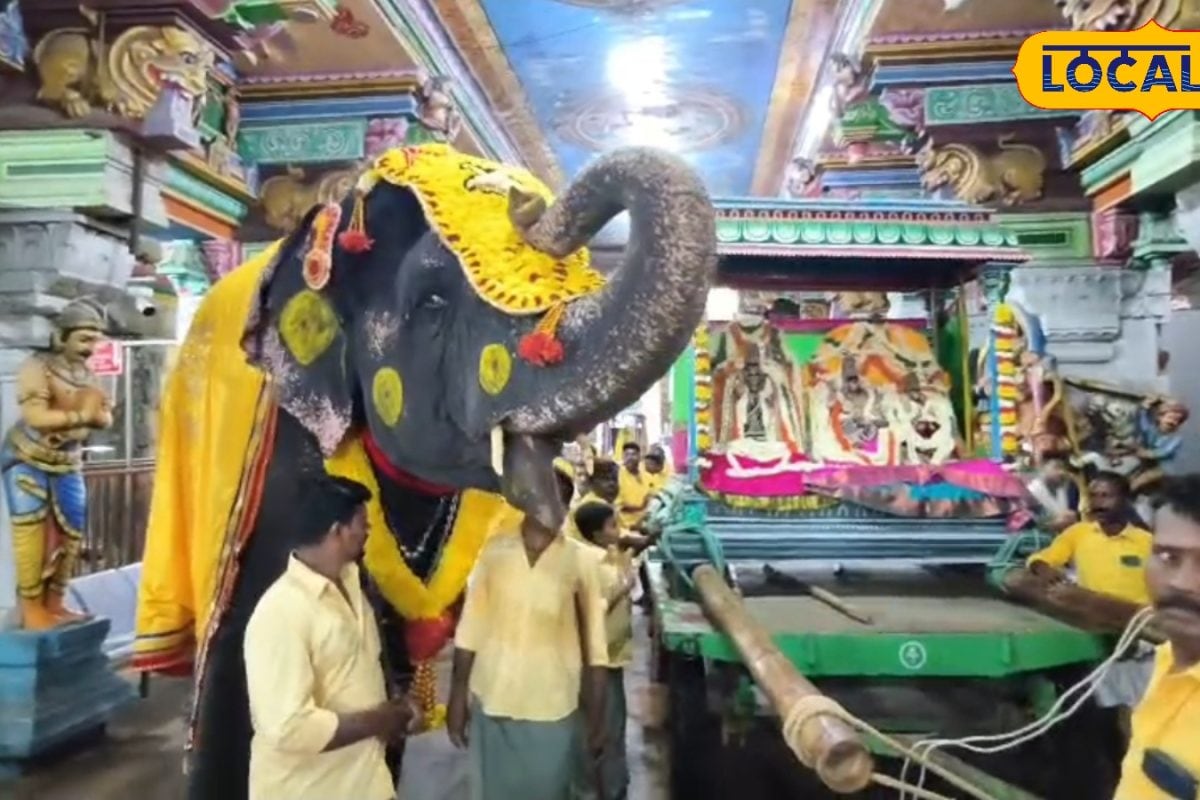 ராமநாதசுவாமி கோவில் மஞ்சள் நீராடல்... உடலில் மஞ்சள் பூசி மிடுக்காக வந்த ராமலெட்சுமி யானை.‌.!