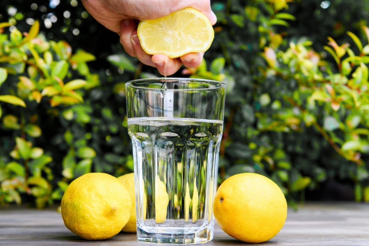 Lemon Water | உடல் எடையை குறைக்க தினமும் எலுமிச்சை சாறு குடிக்கிறீர்களா..? இந்த பிரச்சனை உள்ளவர்கள் உஷார்..!