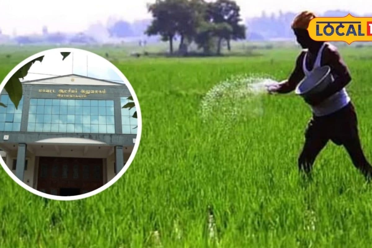 சம்பா சாகுபடி பருவத்திற்கு வறட்சியைத் தாங்கும் நெல் ரகங்கள்... விவசாயிகளுக்கு வேளாண்துறை அழைப்பு..!