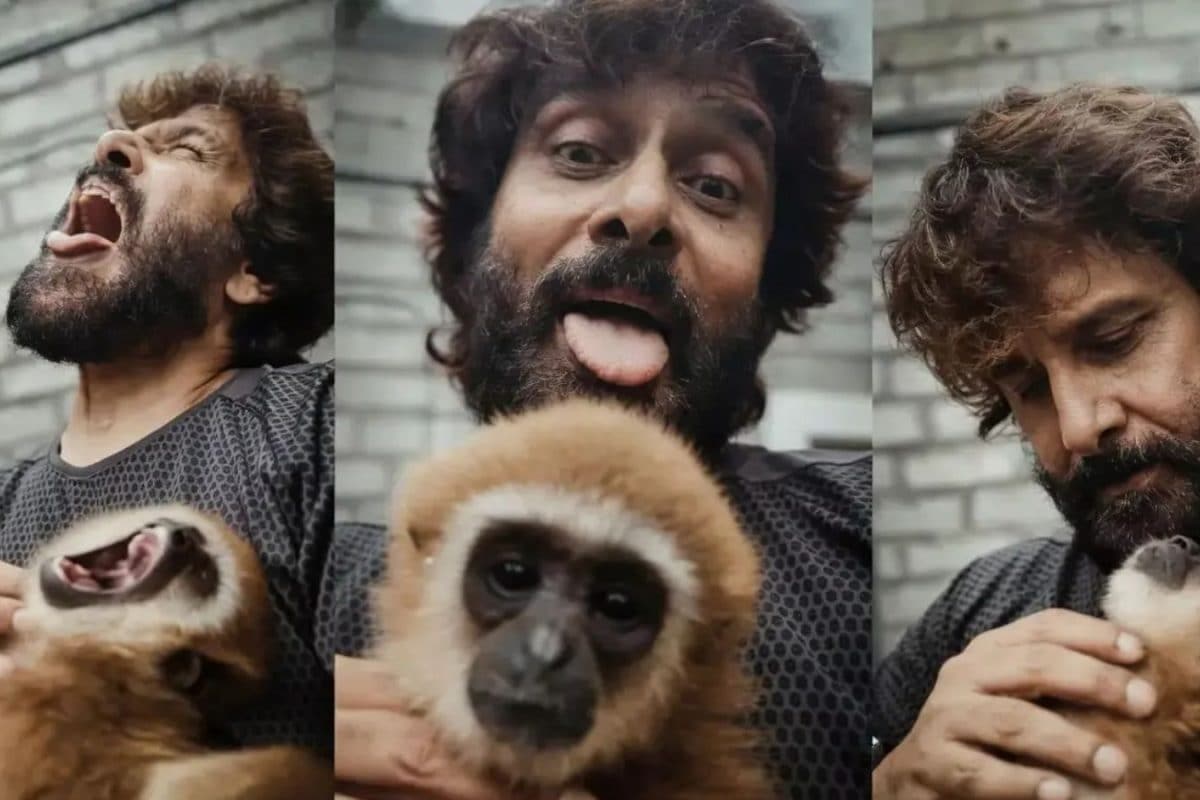 விக்ரம் ரீல்ஸில் வந்த அந்த குரங்கு யாருடையது?... வனத்துறையை அதிரவைத்த புதிய தகவல்கள்!