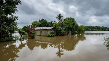 அசாமை புரட்டிப்போட்ட வெள்ளம் அசாமை புரட்டிப்போட்ட வெள்ளம்