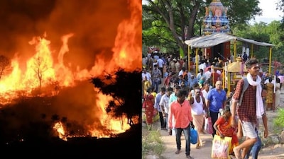 சதுரகிரி மலை